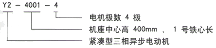 YR系列(H355-1000)高压Y4007-4/560KW三相异步电机西安西玛电机型号说明